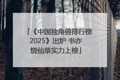 《中国独角兽排行榜2025》出炉 书亦烧仙草实力上榜