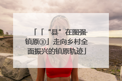 「“县”在图强·镇原③」走向乡村全面振兴的镇原轨迹