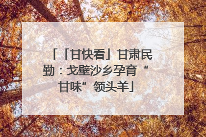 「甘快看」甘肃民勤：戈壁沙乡孕育“甘味”领头羊