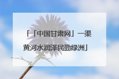 「中国甘肃网」一渠黄河水润泽民勤绿洲