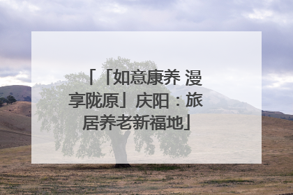 「如意康养 漫享陇原」庆阳：旅居养老新福地