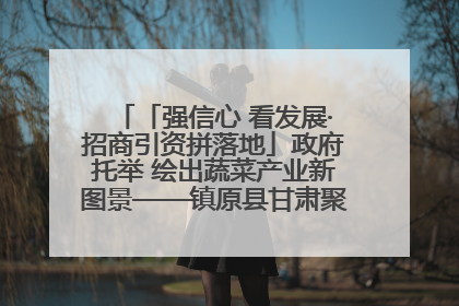 「强信心 看发展·招商引资拼落地」政府托举 绘出蔬菜产业新图景——镇原县甘肃聚广利现代设施蔬菜种植基地见闻