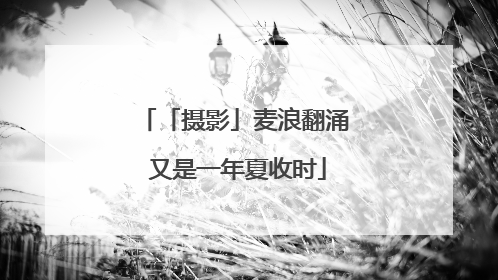 「摄影」麦浪翻涌 又是一年夏收时