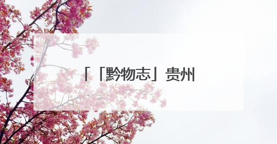 「黔物志」贵州芭蕉家族新增成员——习水自然保护区发现黄苞芭蕉