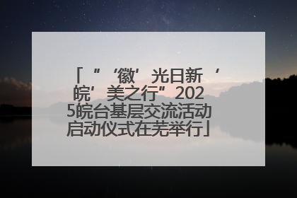 “‘徽’光日新‘皖’美之行”2025皖台基层交流活动启动仪式在芜举行