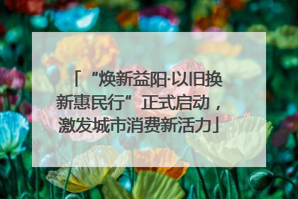 “焕新益阳·以旧换新惠民行”正式启动，激发城市消费新活力