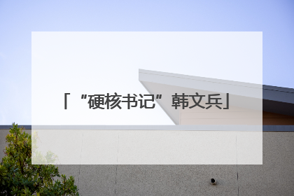 “硬核书记”韩文兵