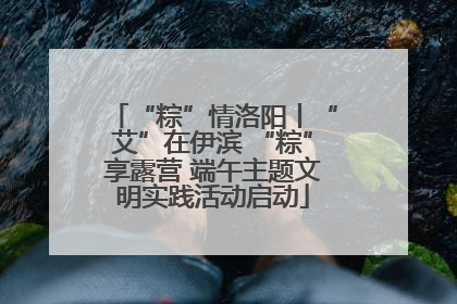“粽”情洛阳丨“艾”在伊滨 “粽”享露营 端午主题文明实践活动启动