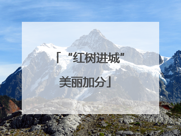 “红树进城” 美丽加分