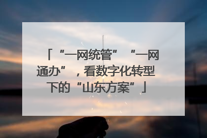 “一网统管”“一网通办”，看数字化转型下的“山东方案”