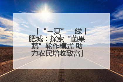 “三夏”一线丨肥城：探索“菌果蔬”轮作模式 助力农民增收致富