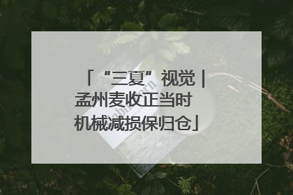 “三夏”视觉｜孟州麦收正当时 机械减损保归仓