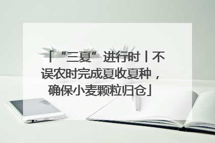 “三夏”进行时丨不误农时完成夏收夏种，确保小麦颗粒归仓
