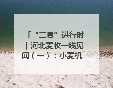 “三夏”进行时｜河北麦收一线见闻（一）：小麦机收减损“竞技” 农机高手麦田“过招”