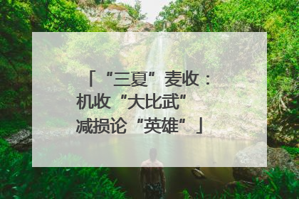 “三夏”麦收：机收“大比武” 减损论“英雄”