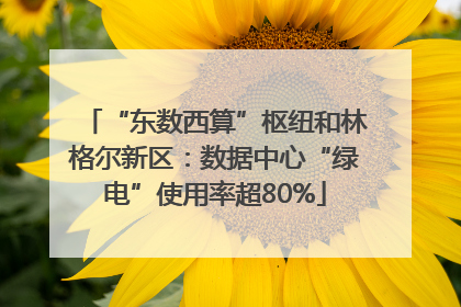 “东数西算”枢纽和林格尔新区：数据中心“绿电”使用率超80%