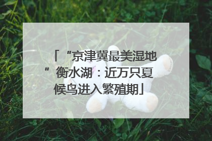 “京津冀最美湿地”衡水湖：近万只夏候鸟进入繁殖期