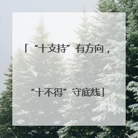 “十支持”有方向，“十不得”守底线