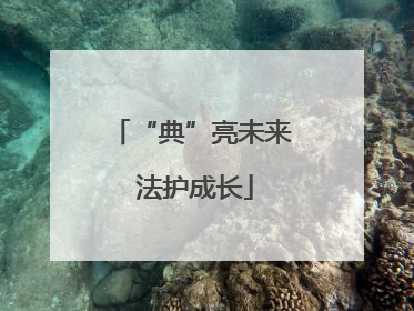 “典”亮未来 法护成长