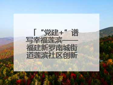 “党建+”谱写幸福莲滨——福建新罗南城街道莲滨社区创新治理模式探访