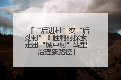 “后进村”变“后劲村”！胜利村探索走出“城中村”转型治理新路径