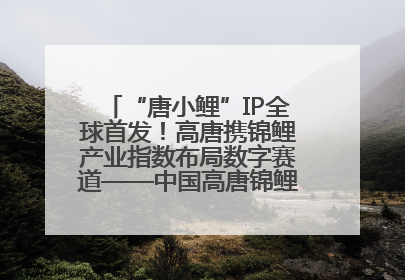 “唐小鲤”IP全球首发！高唐携锦鲤产业指数布局数字赛道——中国高唐锦鲤产业指数暨“唐小鲤”IP全球首发仪式在杭州举行
