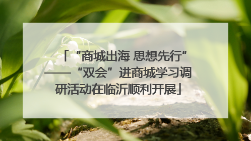“商城出海 思想先行”——“双会”进商城学习调研活动在临沂顺利开展