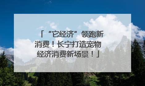 “它经济”领跑新消费！长宁打造宠物经济消费新场景！