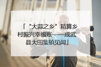 “大蒜之乡”精算乡村振兴幸福账——成武县大田集镇见闻