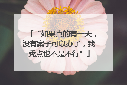 “如果真的有一天，没有案子可以办了，我秃点也不是不行”