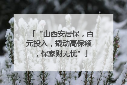 “山西安居保，百元投入，撬动高保额，保家财无忧”