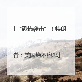 “恐怖袭击”！特朗普：美国绝不容忍