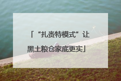 “扎赉特模式”让黑土粮仓家底更实