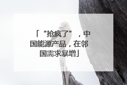 “抢疯了”，中国能源产品，在邻国需求暴增