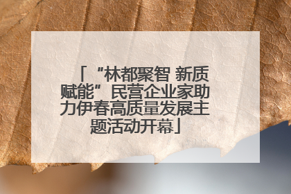 “林都聚智 新质赋能”民营企业家助力伊春高质量发展主题活动开幕