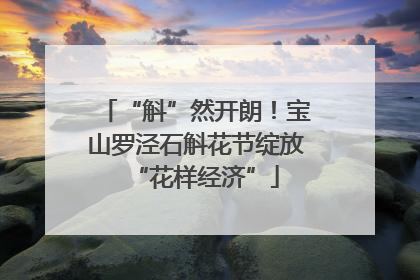 “斛”然开朗！宝山罗泾石斛花节绽放“花样经济”