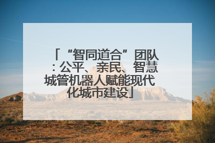 “智同道合”团队：公平、亲民、智慧城管机器人赋能现代化城市建设