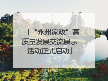 “永州家政”高质量发展交流展示活动正式启动