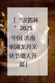 “汉酱杯”2025中国·济南明湖龙舟文化节盛大开幕