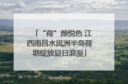 “荷”颜悦色 江西南昌水岚洲半岛荷塘绽放夏日浪漫