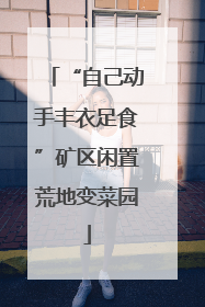 “自己动手丰衣足食”矿区闲置荒地变菜园