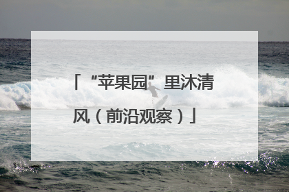 “苹果园”里沐清风（前沿观察）