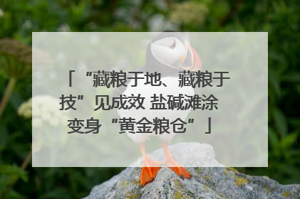 “藏粮于地、藏粮于技”见成效 盐碱滩涂变身“黄金粮仓”