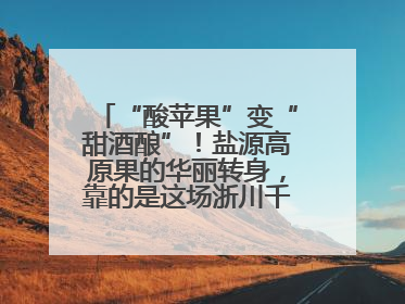 “酸苹果”变“甜酒酿”！盐源高原果的华丽转身，靠的是这场浙川千里“联姻”