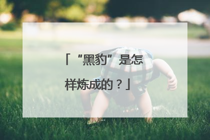 “黑豹”是怎样炼成的？