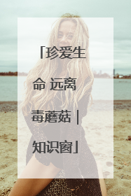 珍爱生命 远离毒蘑菇｜知识窗