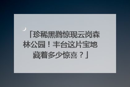 珍稀黑鹳惊现云岗森林公园！丰台这片宝地藏着多少惊喜？
