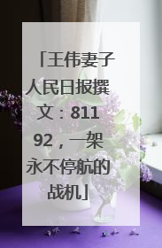 王伟妻子人民日报撰文：81192，一架永不停航的战机
