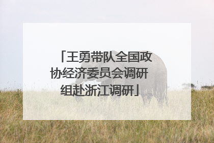 王勇带队全国政协经济委员会调研组赴浙江调研