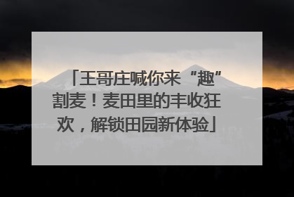 王哥庄喊你来“趣”割麦！麦田里的丰收狂欢，解锁田园新体验